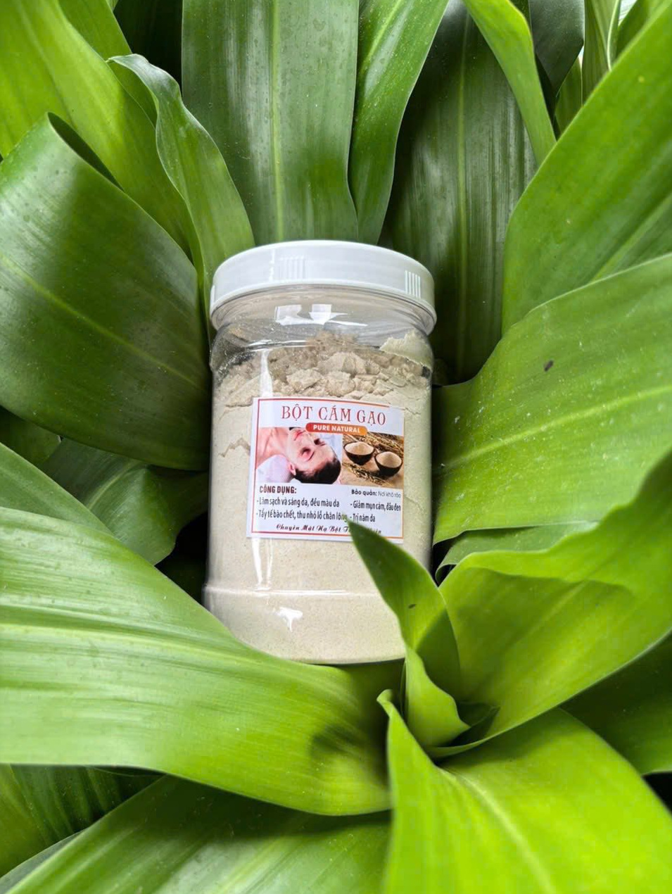 Cám gạo nguyên chất 13