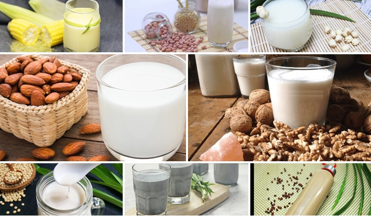 Các loại hạt giúp bổ sung collagen rất tốt cho da Các loại hạt giúp bổ sung collagen rất tốt cho da