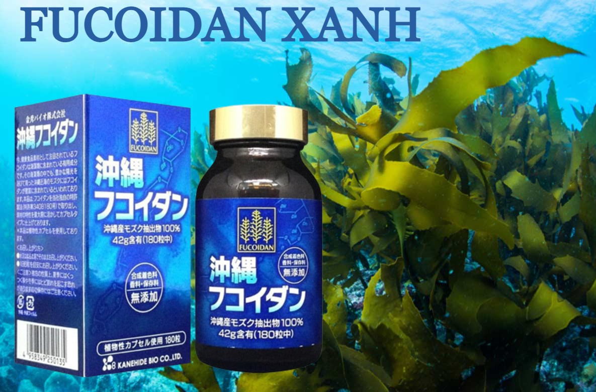 Fucoidan Okinawa - tảo xanh Fucoidan nội địa