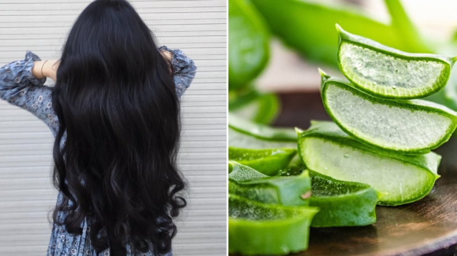 Nha đam giúp làm mượt tóc