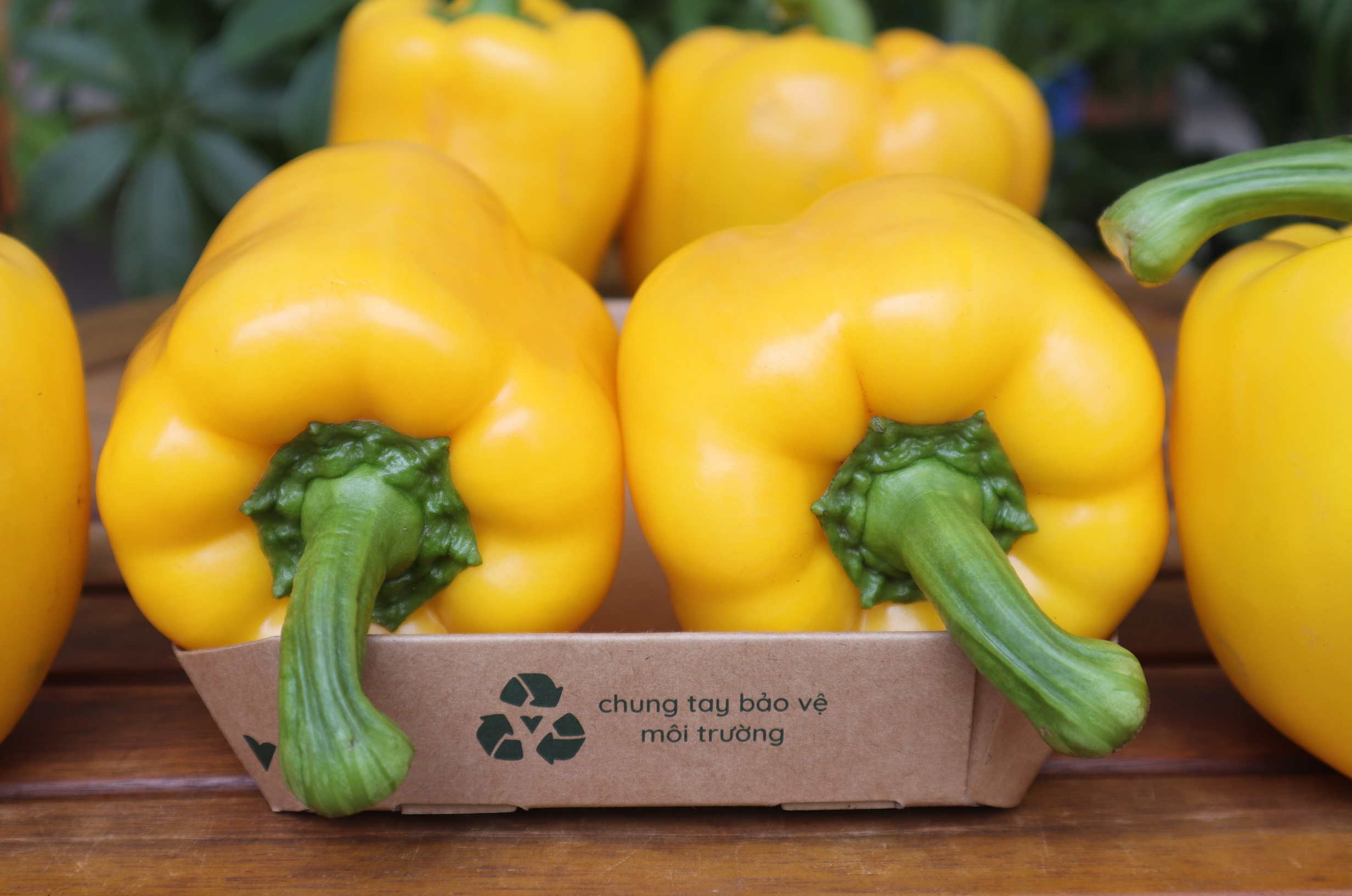 Ớt chuông vàng và quả mọng: Nguồn vitamin C đậm đặc giúp cơ thể hấp thụ sắt tốt hơn và sản sinh collagen cho thân tóc chắc khỏe.