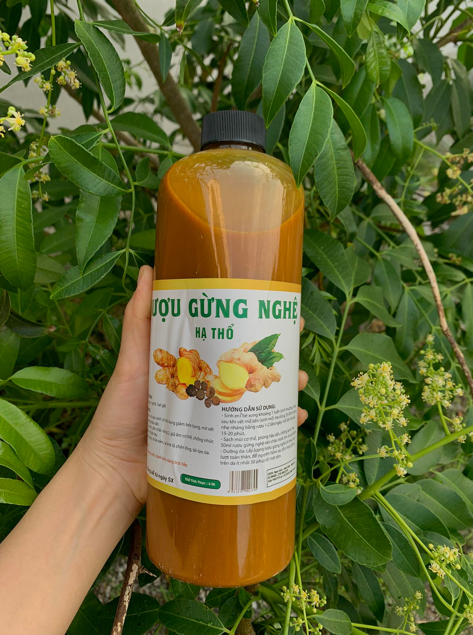 Rượu nghệ gừng hạ thổ 1