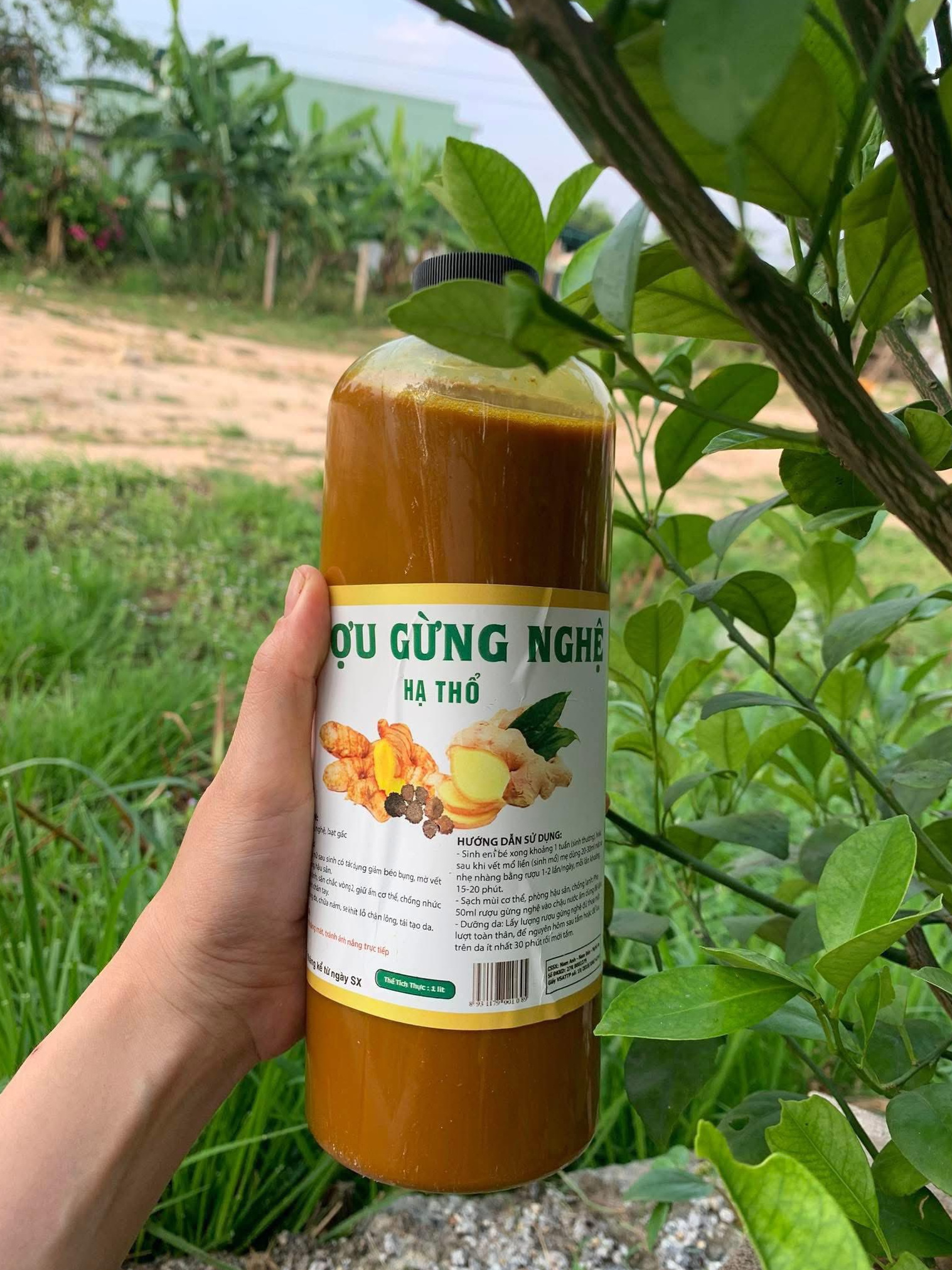 Rượu nghệ gừng hạ thổ 4