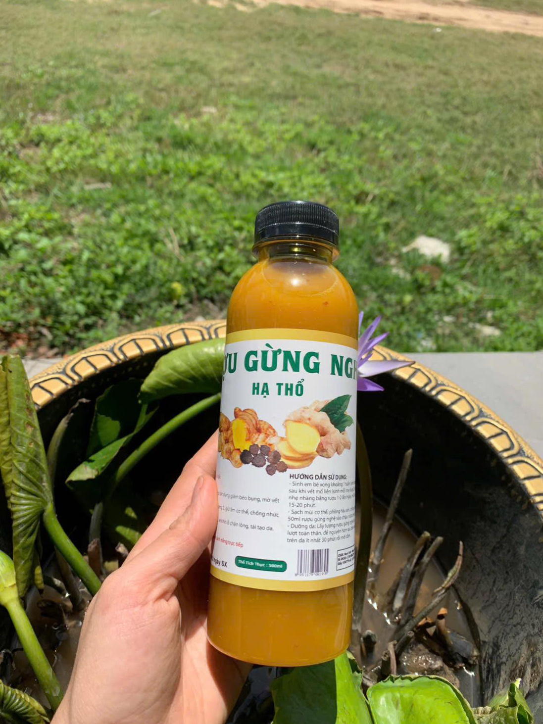 Rượu nghệ gừng hạ thổ 5