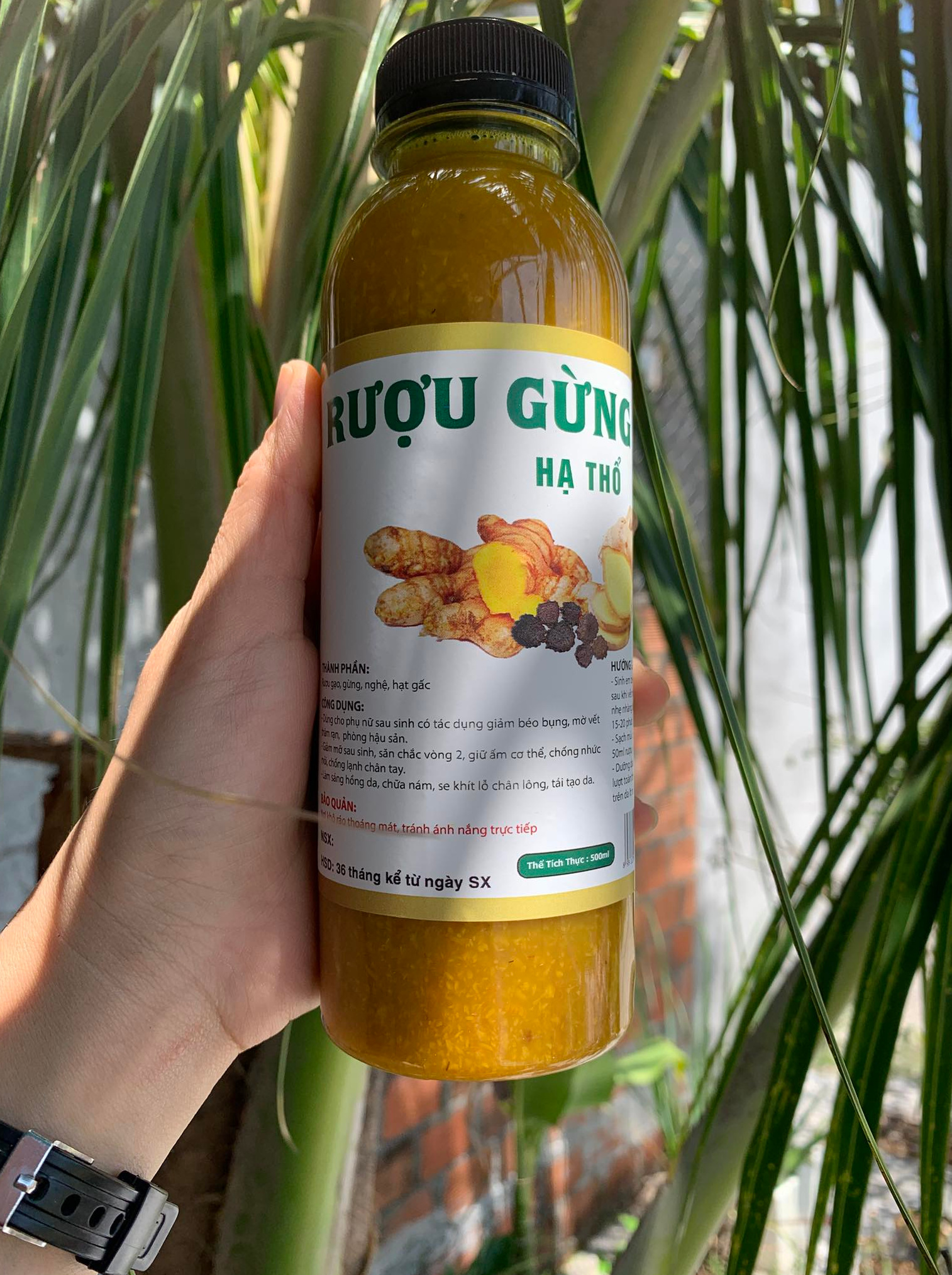 Rượu nghệ gừng hạ thổ 6