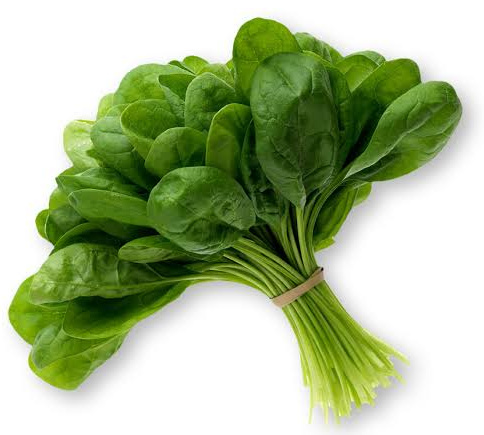 Rau chân vịt