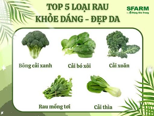 Rau có màu xanh đậm giúp bổ sung collagen rất tốt cho da Rau có màu xanh đậm giúp bổ sung collagen rất tốt cho da