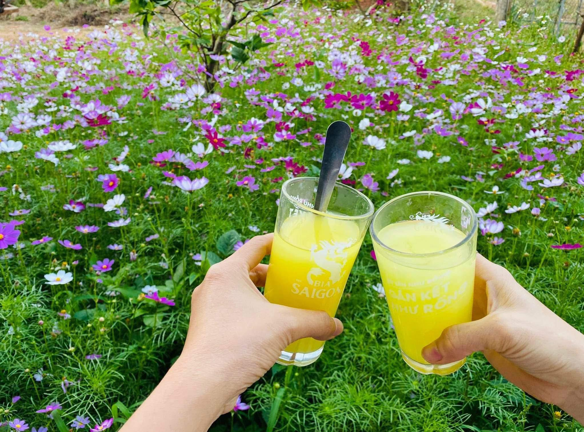 Tinh bột nghệ 7