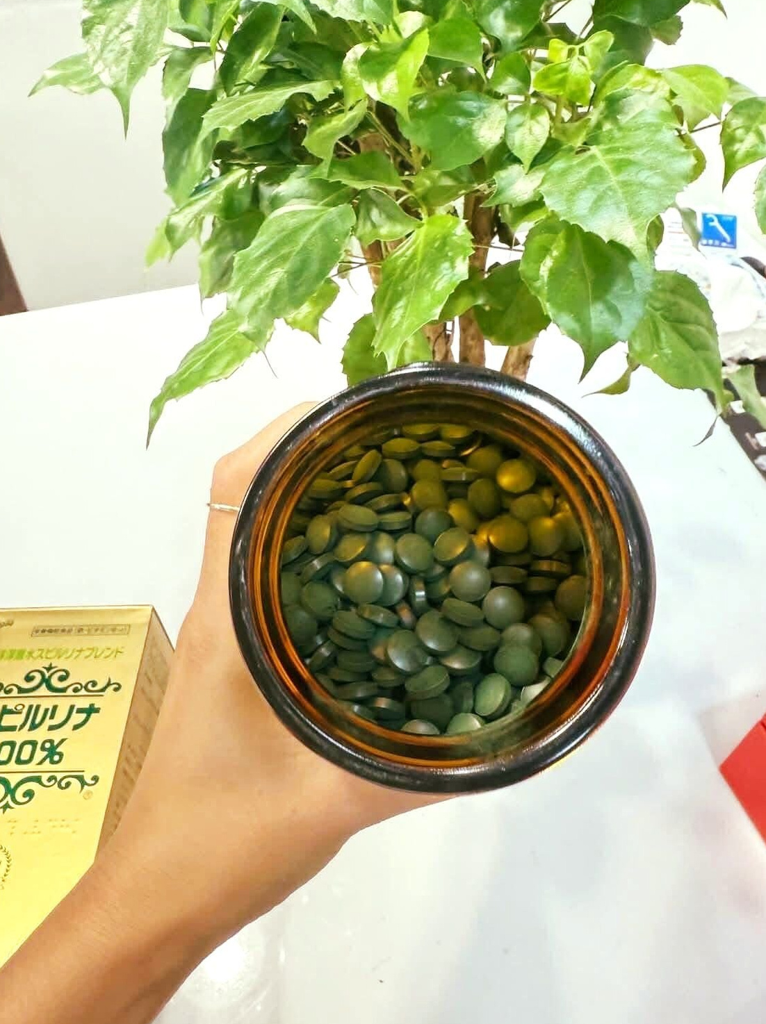 Thành phần của tảo xoắn Spirulina của Nhật Bản Thành phần của tảo xoắn Spirulina của Nhật Bản