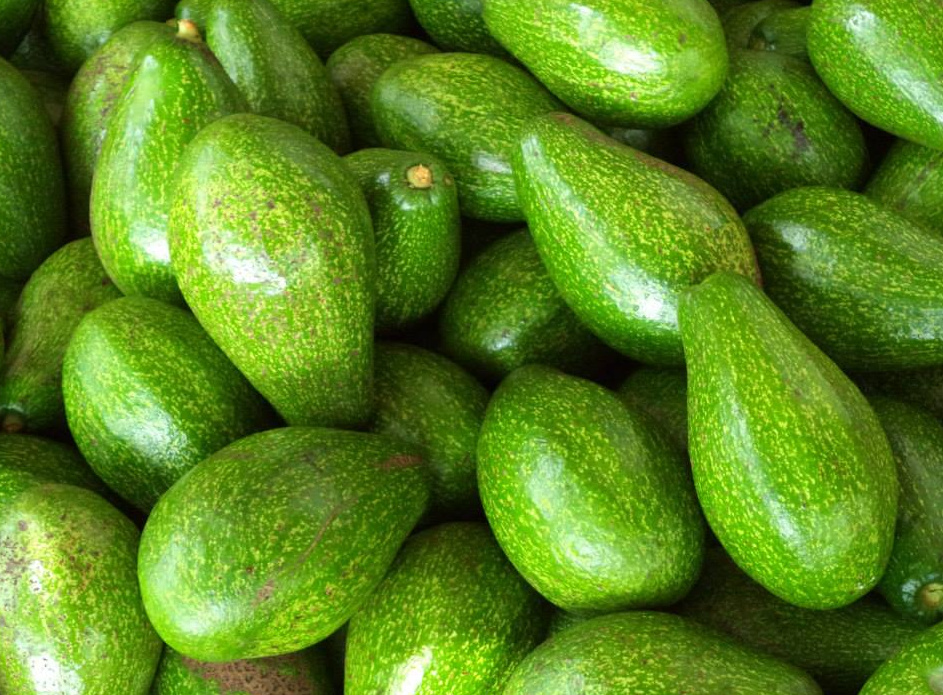 Trái bơ: Giàu chất béo lành mạnh và vitamin E giúp chống oxy hóa, bảo vệ nang tóc khỏi hư tổn