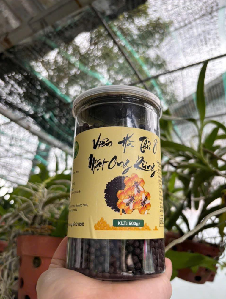 Viên hà thủ ô 3